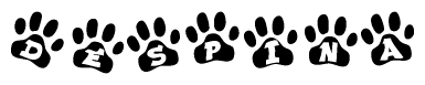 The image shows a row of animal paw prints, each containing a letter. The letters spell out the word Despina within the paw prints.
