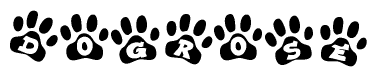 The image shows a series of animal paw prints arranged horizontally. Within each paw print, there's a letter; together they spell Dogrose