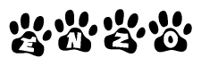 The image shows a row of animal paw prints, each containing a letter. The letters spell out the word Enzo within the paw prints.