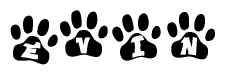 The image shows a row of animal paw prints, each containing a letter. The letters spell out the word Evin within the paw prints.