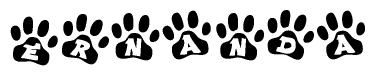 The image shows a series of animal paw prints arranged horizontally. Within each paw print, there's a letter; together they spell Ernanda