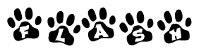 The image shows a series of animal paw prints arranged in a horizontal line. Each paw print contains a letter, and together they spell out the word Flash.