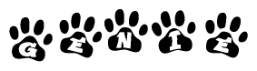 The image shows a series of animal paw prints arranged in a horizontal line. Each paw print contains a letter, and together they spell out the word Genie.
