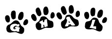 The image shows a row of animal paw prints, each containing a letter. The letters spell out the word Ghal within the paw prints.