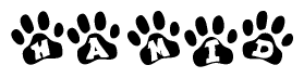 The image shows a row of animal paw prints, each containing a letter. The letters spell out the word Hamid within the paw prints.