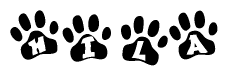 The image shows a series of animal paw prints arranged horizontally. Within each paw print, there's a letter; together they spell Hila