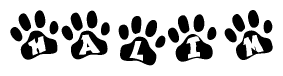 The image shows a series of animal paw prints arranged in a horizontal line. Each paw print contains a letter, and together they spell out the word Halim.