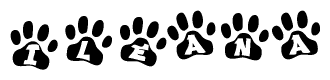 The image shows a series of animal paw prints arranged in a horizontal line. Each paw print contains a letter, and together they spell out the word Ileana.