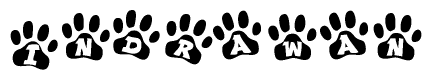 The image shows a series of animal paw prints arranged horizontally. Within each paw print, there's a letter; together they spell Indrawan