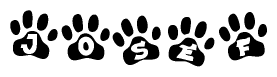 The image shows a series of animal paw prints arranged in a horizontal line. Each paw print contains a letter, and together they spell out the word Josef.