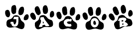 The image shows a series of animal paw prints arranged horizontally. Within each paw print, there's a letter; together they spell Jacob