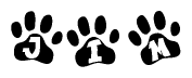 The image shows a row of animal paw prints, each containing a letter. The letters spell out the word Jim within the paw prints.