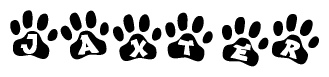 The image shows a series of animal paw prints arranged horizontally. Within each paw print, there's a letter; together they spell Jaxter