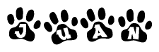 The image shows a row of animal paw prints, each containing a letter. The letters spell out the word Juan within the paw prints.