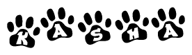 The image shows a series of animal paw prints arranged horizontally. Within each paw print, there's a letter; together they spell Kasha