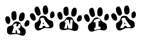 The image shows a series of animal paw prints arranged horizontally. Within each paw print, there's a letter; together they spell Kania