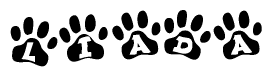 Animal Paw Prints with Liada Lettering