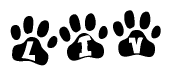 The image shows a row of animal paw prints, each containing a letter. The letters spell out the word Liv within the paw prints.