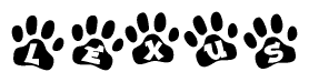 Animal Paw Prints with Lexus Lettering
