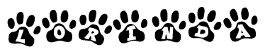 The image shows a series of animal paw prints arranged horizontally. Within each paw print, there's a letter; together they spell Lorinda