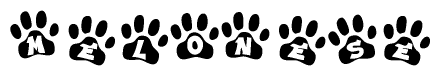 The image shows a series of animal paw prints arranged horizontally. Within each paw print, there's a letter; together they spell Melonese