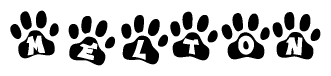 The image shows a series of animal paw prints arranged horizontally. Within each paw print, there's a letter; together they spell Melton