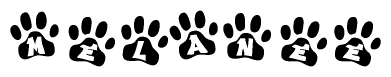 The image shows a series of animal paw prints arranged horizontally. Within each paw print, there's a letter; together they spell Melanee