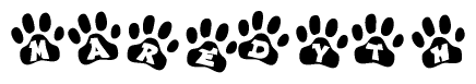 The image shows a series of animal paw prints arranged in a horizontal line. Each paw print contains a letter, and together they spell out the word Maredyth.