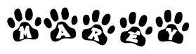 The image shows a row of animal paw prints, each containing a letter. The letters spell out the word Marey within the paw prints.