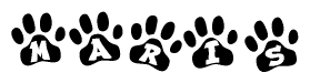 The image shows a row of animal paw prints, each containing a letter. The letters spell out the word Maris within the paw prints.