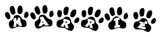 The image shows a row of animal paw prints, each containing a letter. The letters spell out the word Marrie within the paw prints.