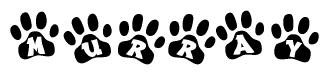   The image shows a series of animal paw prints arranged in a horizontal line. Each paw print contains a letter, and together they spell out the word Murray. 