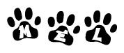 The image shows a series of animal paw prints arranged in a horizontal line. Each paw print contains a letter, and together they spell out the word Mel.