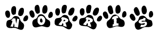 The image shows a series of animal paw prints arranged in a horizontal line. Each paw print contains a letter, and together they spell out the word Norris.