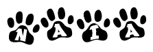 The image shows a series of animal paw prints arranged in a horizontal line. Each paw print contains a letter, and together they spell out the word Naia.