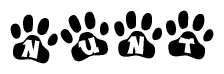 The image shows a series of animal paw prints arranged horizontally. Within each paw print, there's a letter; together they spell Nunt