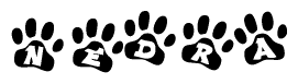 The image shows a series of animal paw prints arranged in a horizontal line. Each paw print contains a letter, and together they spell out the word Nedra.
