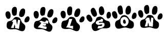 The image shows a series of animal paw prints arranged in a horizontal line. Each paw print contains a letter, and together they spell out the word Nelson.