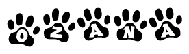 The image shows a series of animal paw prints arranged in a horizontal line. Each paw print contains a letter, and together they spell out the word Ozana.