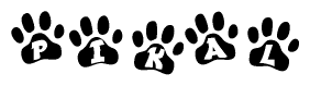 The image shows a series of animal paw prints arranged in a horizontal line. Each paw print contains a letter, and together they spell out the word Pikal.