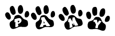 The image shows a series of animal paw prints arranged in a horizontal line. Each paw print contains a letter, and together they spell out the word Pamy.