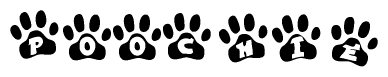 The image shows a series of animal paw prints arranged in a horizontal line. Each paw print contains a letter, and together they spell out the word Poochie.