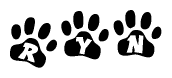The image shows a series of animal paw prints arranged in a horizontal line. Each paw print contains a letter, and together they spell out the word Ryn.