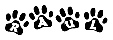 The image shows a row of animal paw prints, each containing a letter. The letters spell out the word Raul within the paw prints.