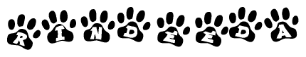 The image shows a row of animal paw prints, each containing a letter. The letters spell out the word Rindeeda within the paw prints.