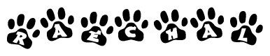 The image shows a row of animal paw prints, each containing a letter. The letters spell out the word Raechal within the paw prints.
