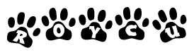 The image shows a series of animal paw prints arranged horizontally. Within each paw print, there's a letter; together they spell Roycu