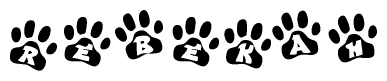 The image shows a series of animal paw prints arranged horizontally. Within each paw print, there's a letter; together they spell Rebekah