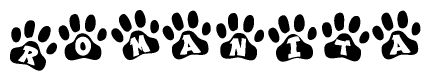 The image shows a series of animal paw prints arranged horizontally. Within each paw print, there's a letter; together they spell Romanita