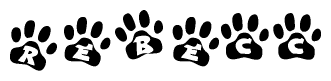 The image shows a series of animal paw prints arranged in a horizontal line. Each paw print contains a letter, and together they spell out the word Rebecc.